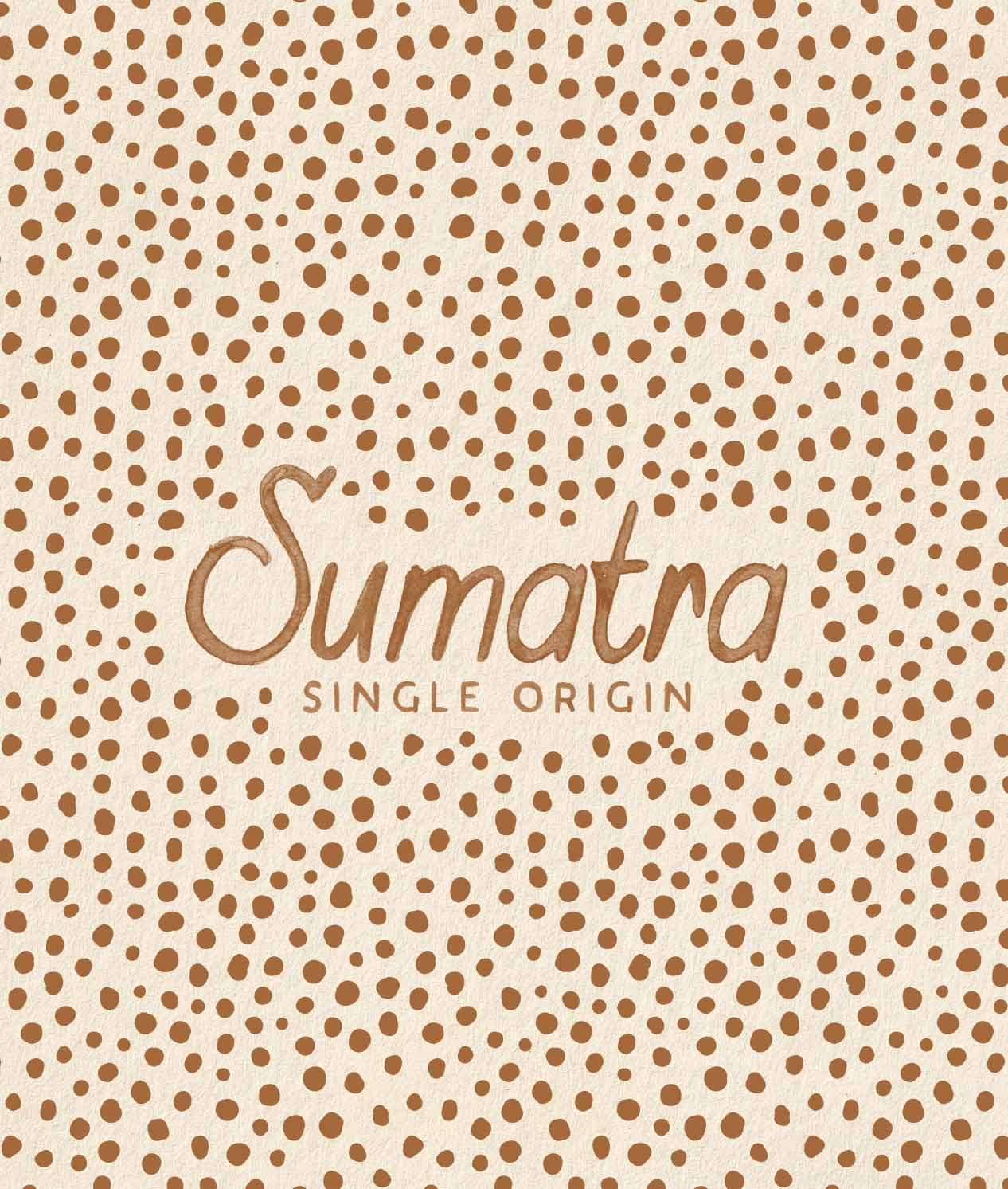 Alternative view of Decaf Sumatra